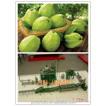 Komplette Set von Papaya -Saft -Herstellungsmaschine
